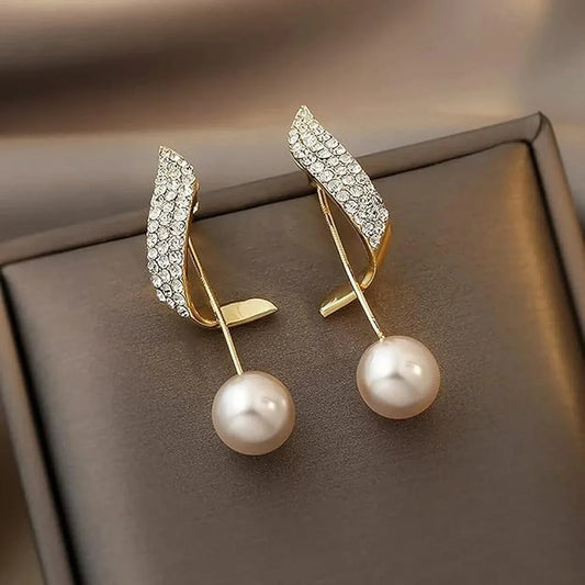 Contemporary Stone & S Shape Design Earrings